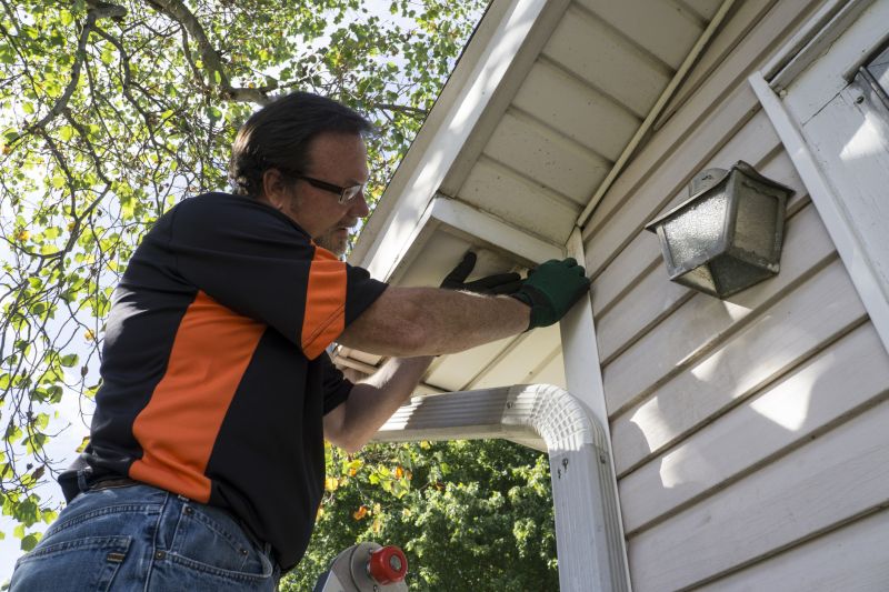Vinyl Siding Repair Professional